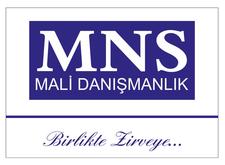 MNS Danışmanlık Logo